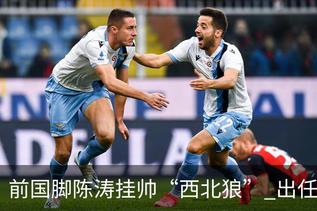 前国脚陈涛挂帅“西北狼” 出任陕西联合一线队主教练